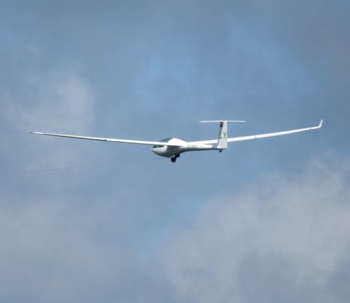 Glider-D-3952-LX 04