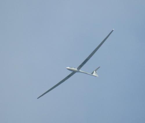 Glider-D-3959-02
