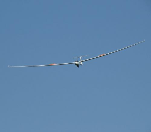 Glider-D-3959-04