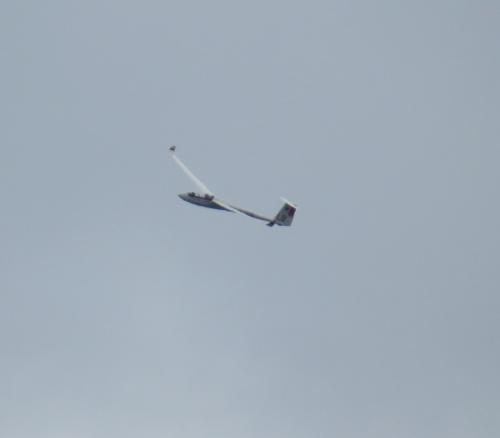 Glider-D-3976-01
