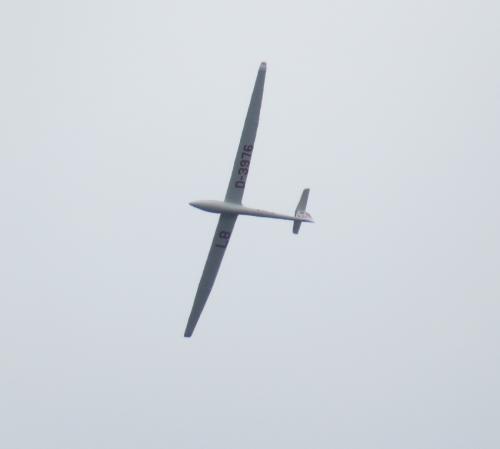 Glider-D-3976-02