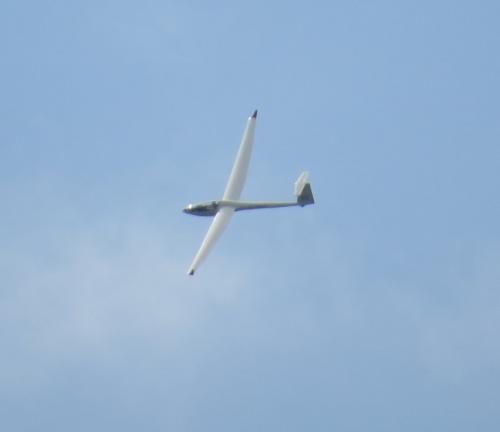 Glider-D-3997-01