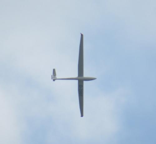 Glider-D-3997-02