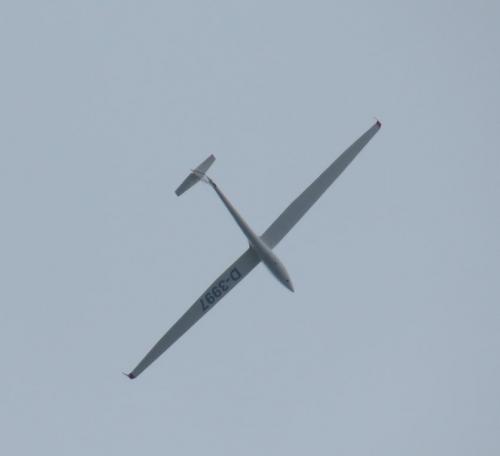 Glider-D-3997-03