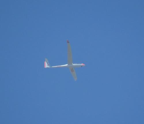 Glider-D-4052-04