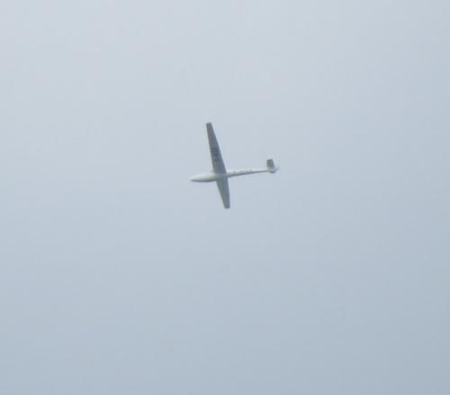 Glider-D-4059-01