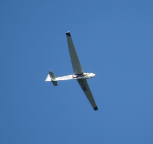Glider-D-4068-06