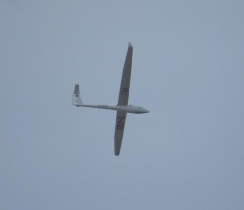 Glider-D-4103-01