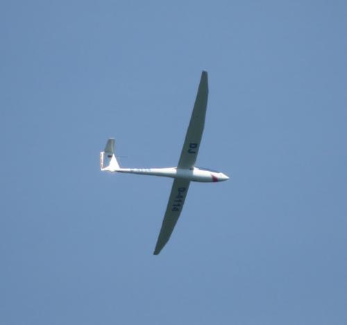 Glider-D-4114-06