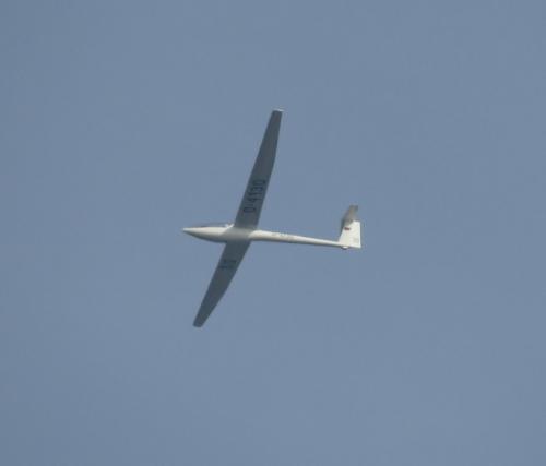 Glider-D-4130-01