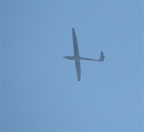 Glider-D-4173-01