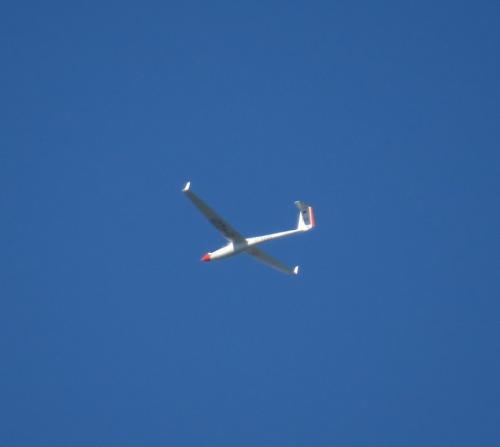 Glider-D-4225-01