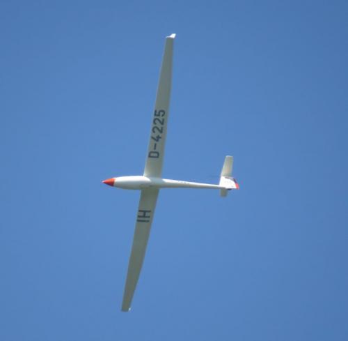 Glider-D-4225-05