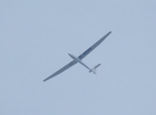 Glider-D-4235-01