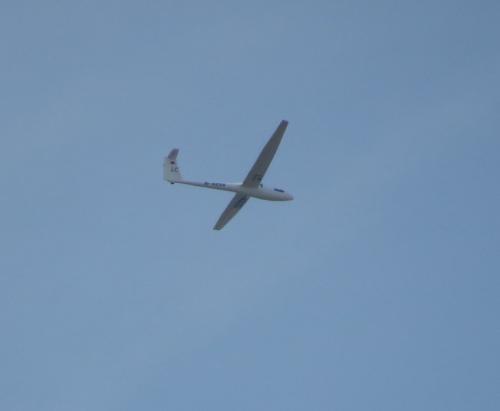 Glider-D-4235-02