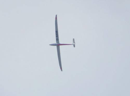 Glider-D-4239-01