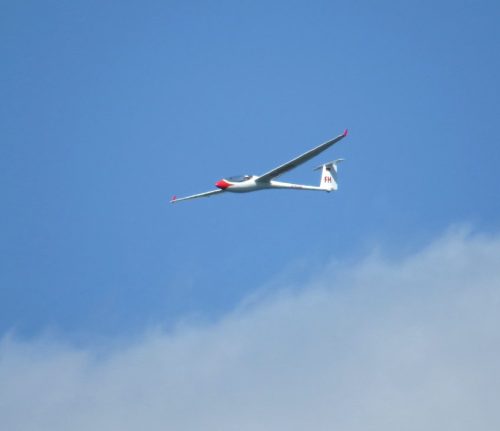 Glider-D-4330-03
