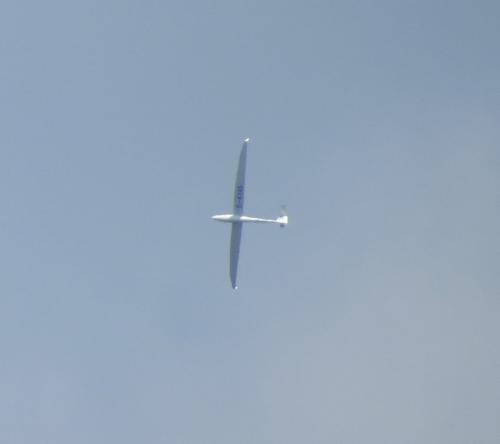 Glider-D-4346-01