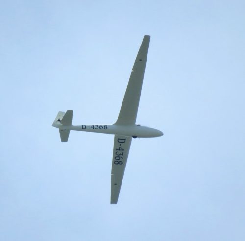 Glider-D-4368-05