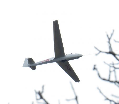 Glider-D-4386-02