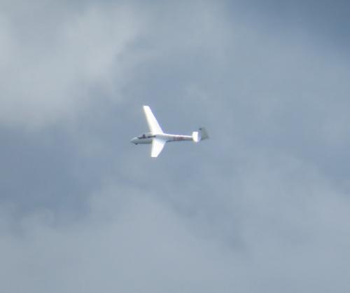 Glider-D-4386-06