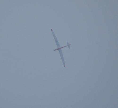 Glider-D-4388-01
