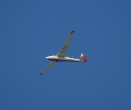 Glider-D-4388-02