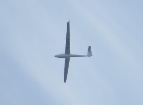 Glider-D-4449-01