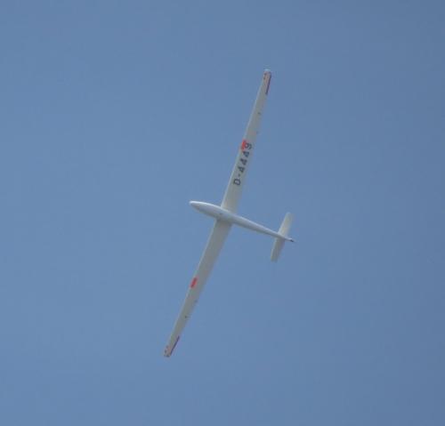 Glider-D-4449-02