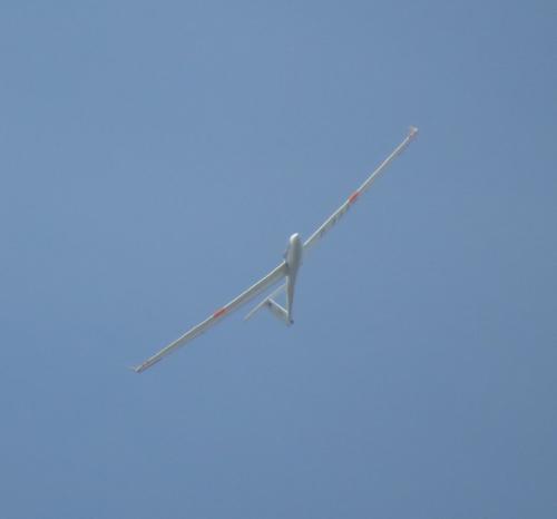 Glider-D-4449-03