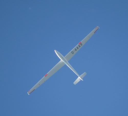 Glider-D-4449-04