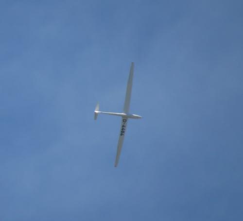 Glider-D-4484-01