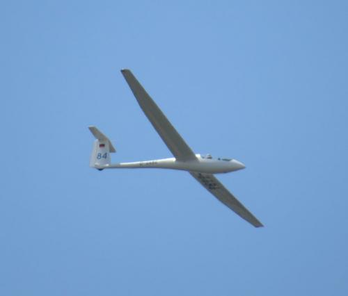 Glider-D-4484-02