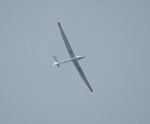 Glider-D-4506-01