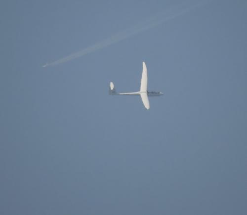 Glider-D-4507-05