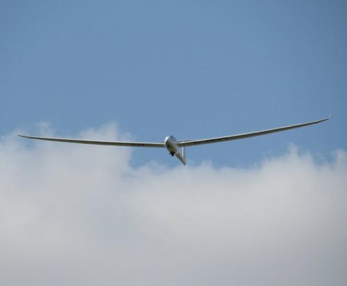 Glider-D-4507-06