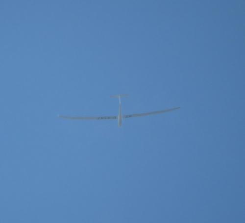 Glider-D-4547-01
