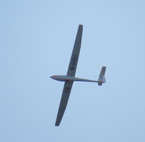 Glider-D-4561-01