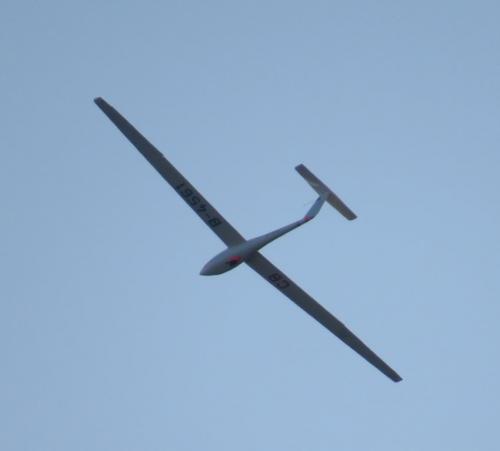 Glider-D-4561-02