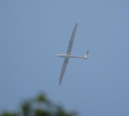 Glider-D-4574-02