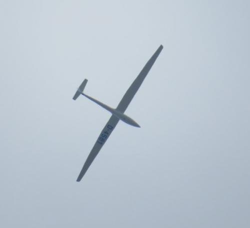Glider-D-4581-01