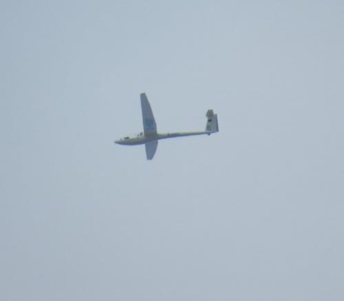 Glider-D-4581-02