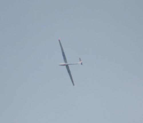 Glider-D-4593-01