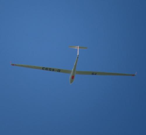 Glider-D-4593-04