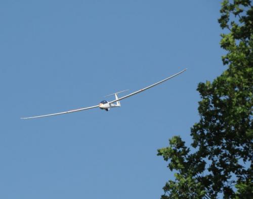 Glider-D-4647-07