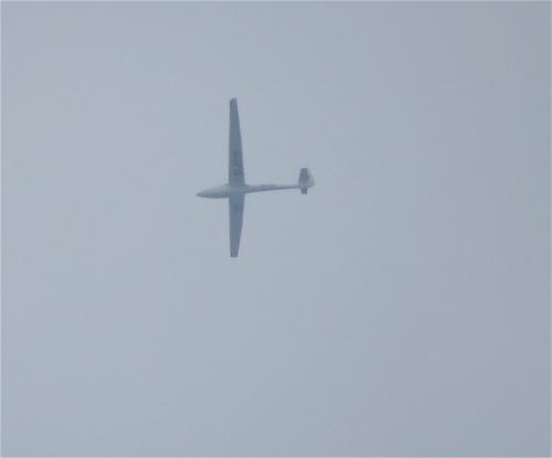 Glider-D-4711-01
