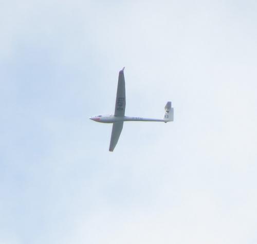 Glider-D-4713-01