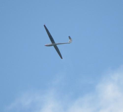 Glider-D-4713-02