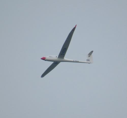 Glider-D-4824-02