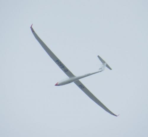 Glider-D-4824-03